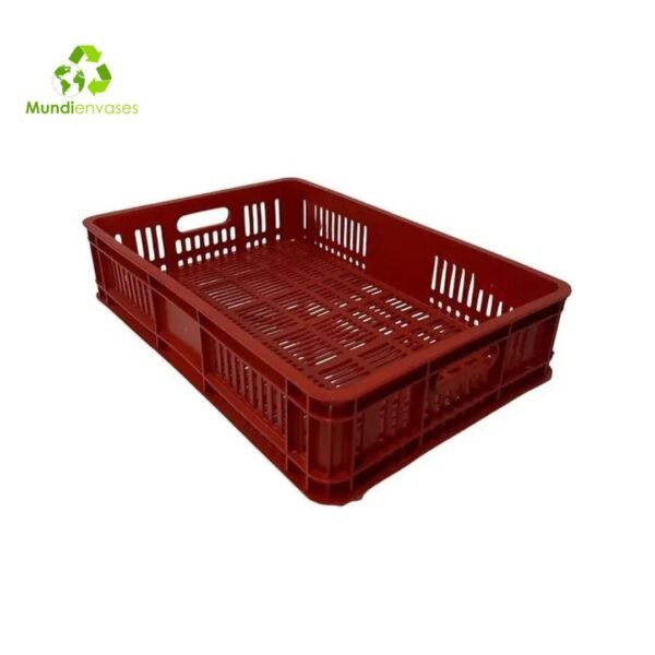 Canastilla-Morera-plastica.jpg